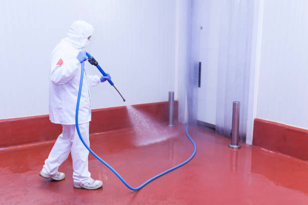 Best Driveway Pressure Washing  in Galveston, TX